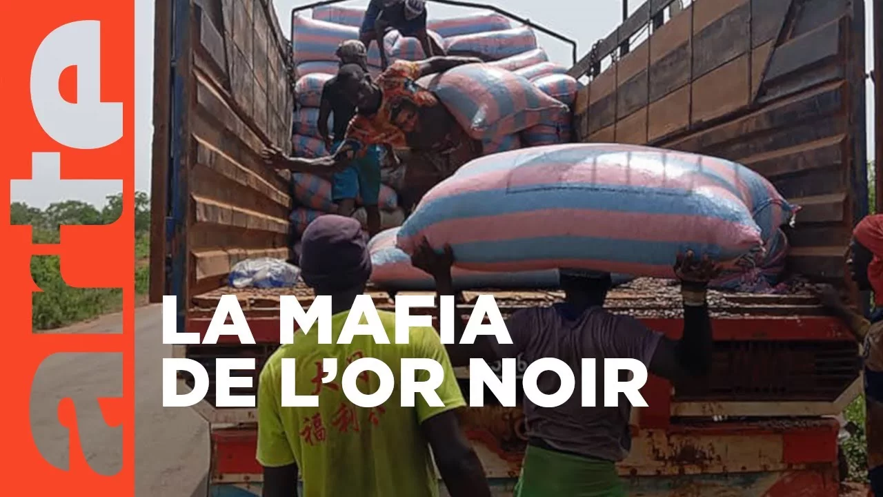 Documentaire Côte d’Ivoire : haro sur le cacao