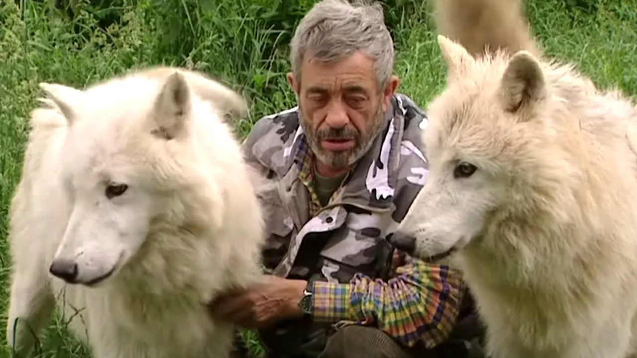 Documentaire L’homme qui rêvait d’être loup