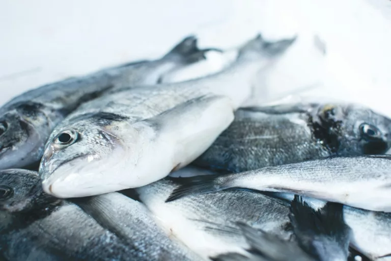 Article | Comment assurer la consommation durable de poisson ?