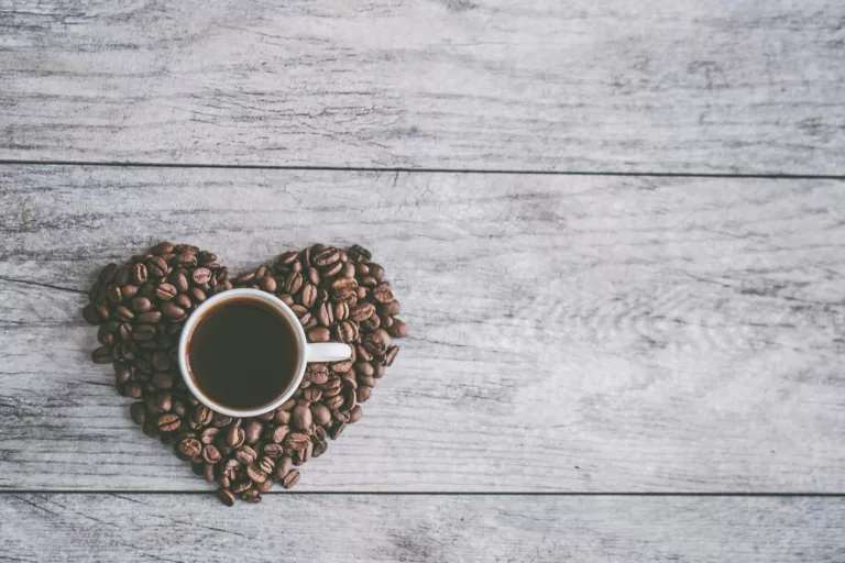 Article | Le café : une protection contre les maladies cardiovasculaires