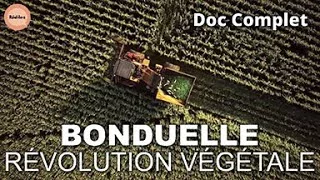 Bonduelle: le pois de la réussite