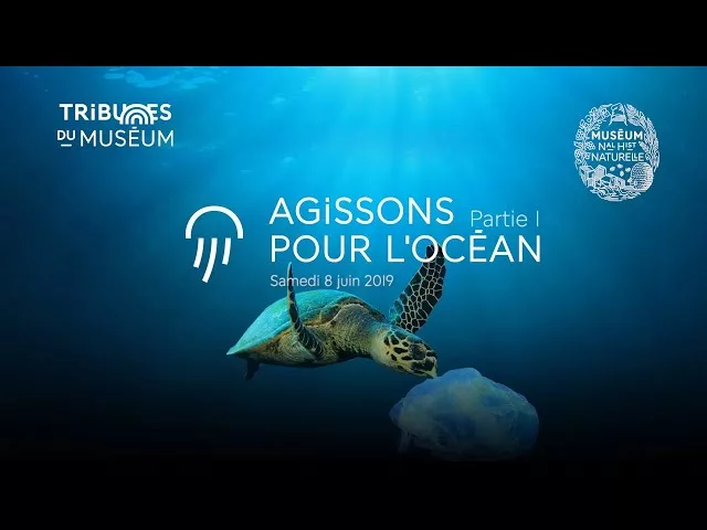 Documentaire Peut-on encore sauver la biodiversité marine ?