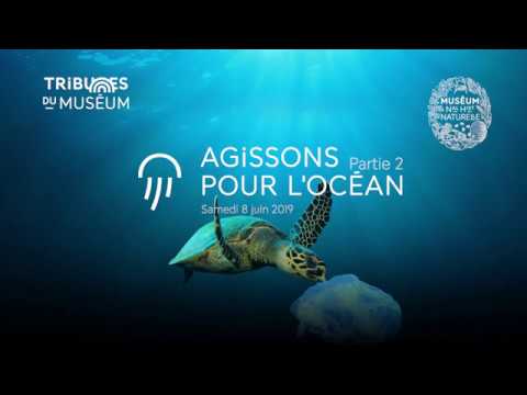Documentaire Réchauffement des océans et pollution plastique