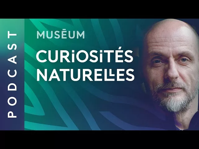 Documentaire Curiosités naturelles