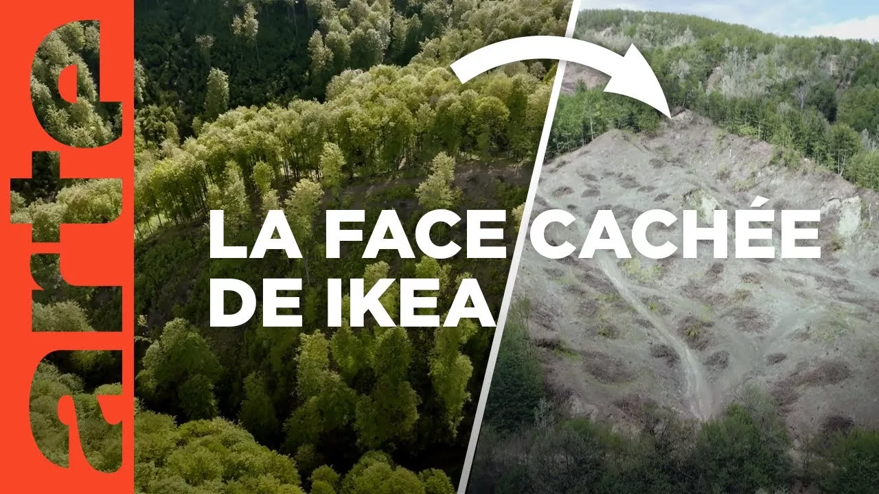 Documentaire Ikea, le seigneur des forêts