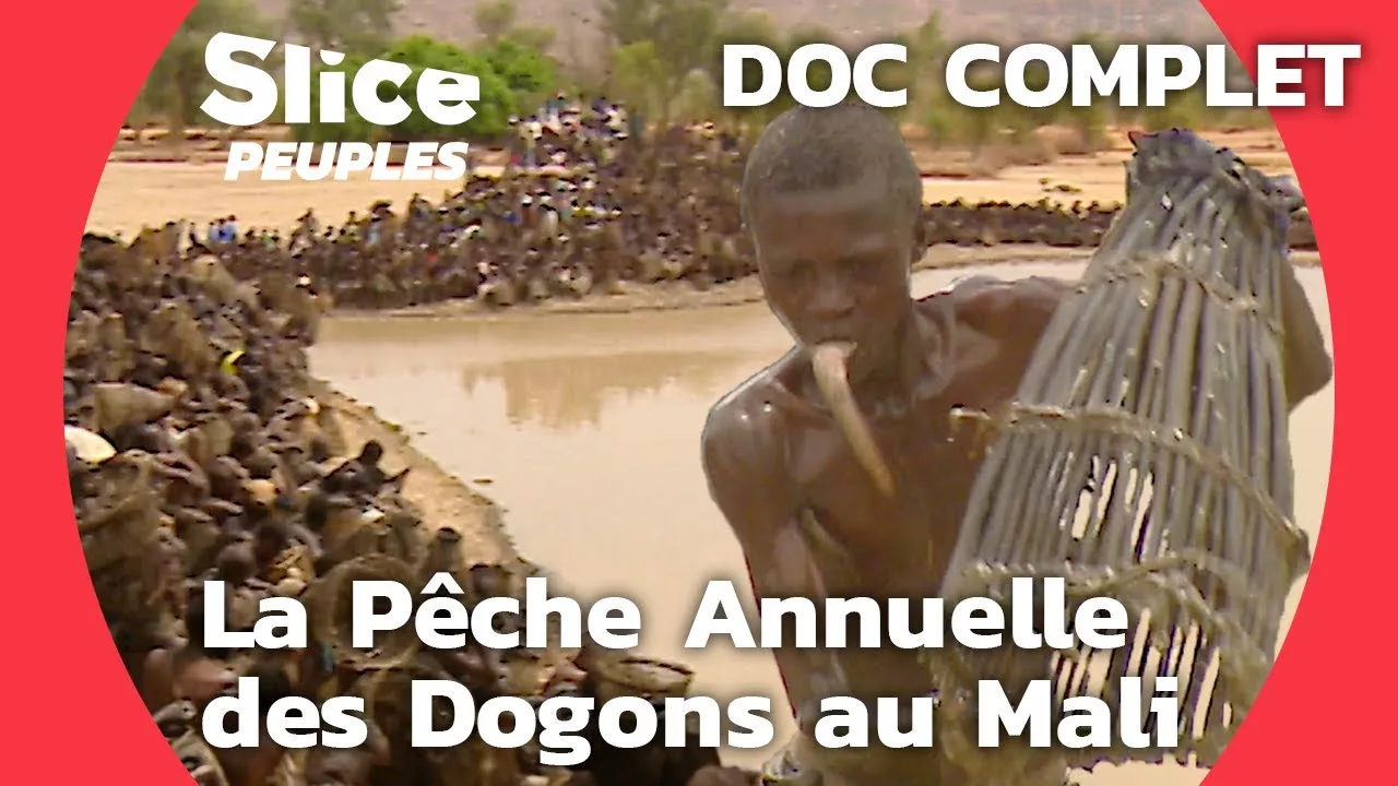 Documentaire La pêche au silure dans l’aridité du Pays Dogon, Mali