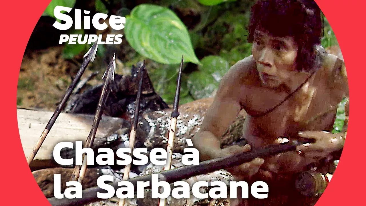 Documentaire La sarbacane empoisonnée des Punans : maîtres de la jungle