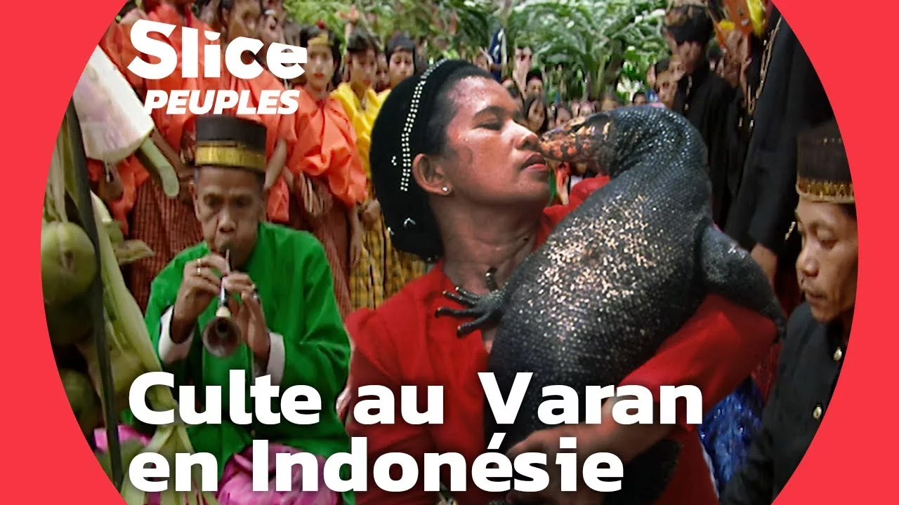 Documentaire Le varan sacré du lac Tempe, Indonésie