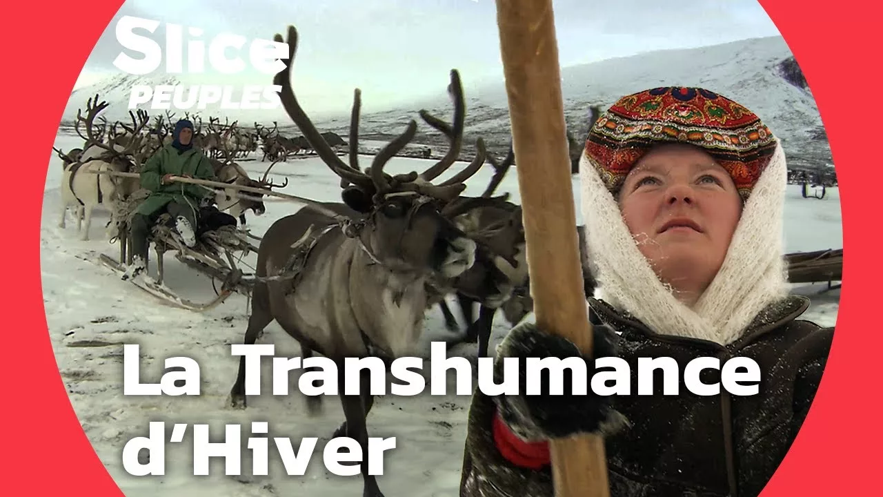 Transhumance d'Hiver : de l'Europe à l'Asie sur les traces des ancêtres