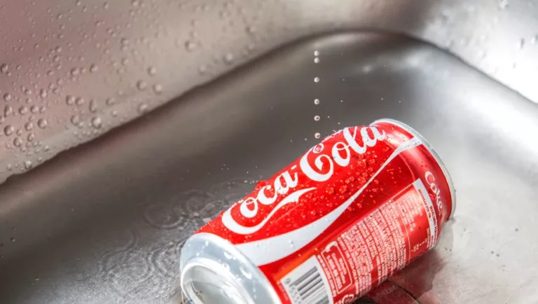 Article | Grossiste de canettes Coca-Cola : comment bien le sélectionner ?