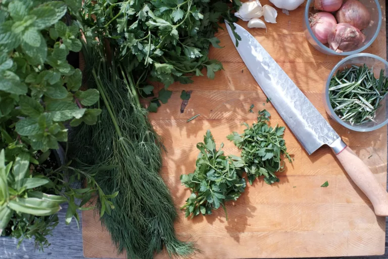 Article | Comment bien conserver ses herbes aromatiques ?