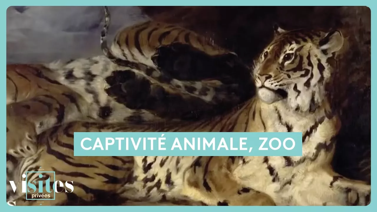Documentaire Captivité animale, zoo : visite au Parc de la Tête d’Or à Lyon