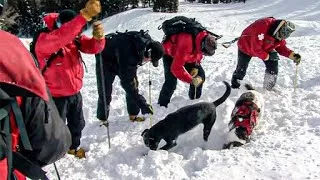 Documentaire Chiens et secouristes unis : les secouristes de l’extrême