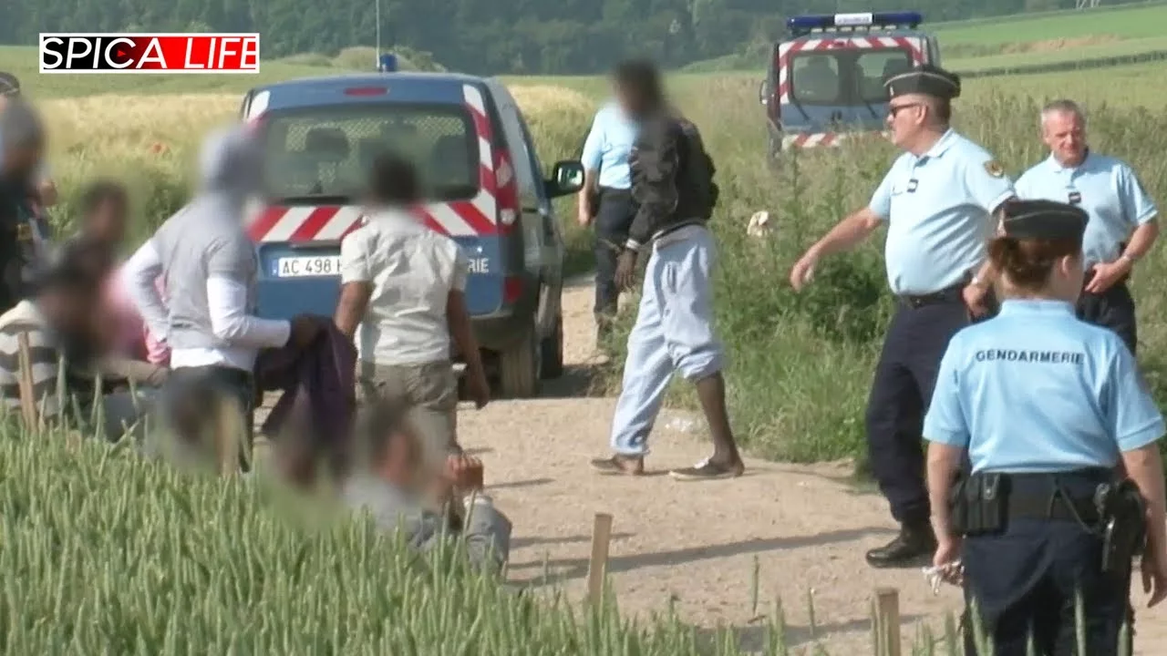 Documentaire Clandestins aux frontières : gendarmerie en action