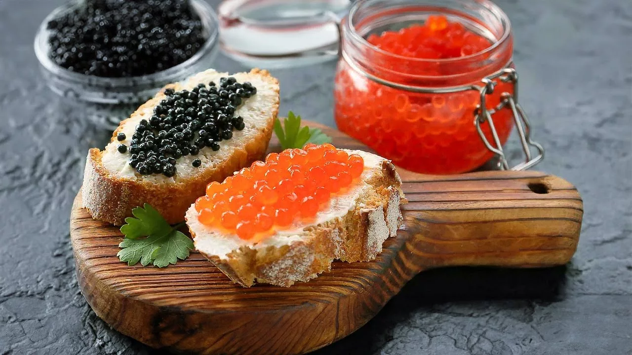 Documentaire Comment le caviar est arrivé en Aquitaine