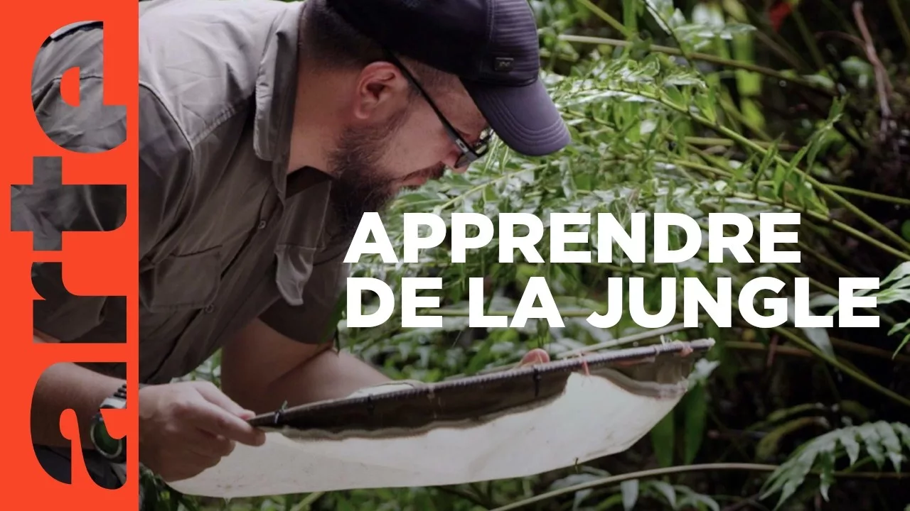 Documentaire Équateur, le campus de la forêt