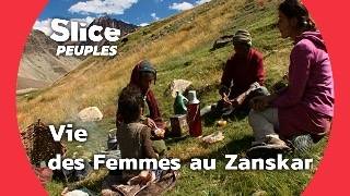 Documentaire Été au Zanskar: femmes de la montagne