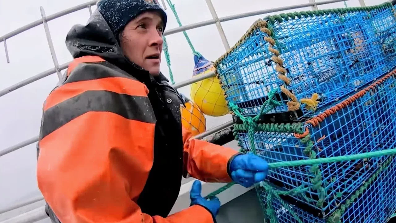 Documentaire Homards : les pêcheurs de l’extrême