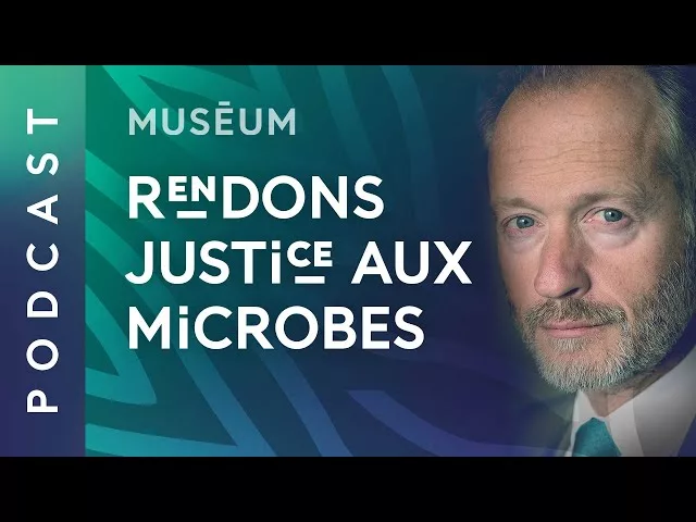 Les microbes sont aussi nos meilleurs alliés