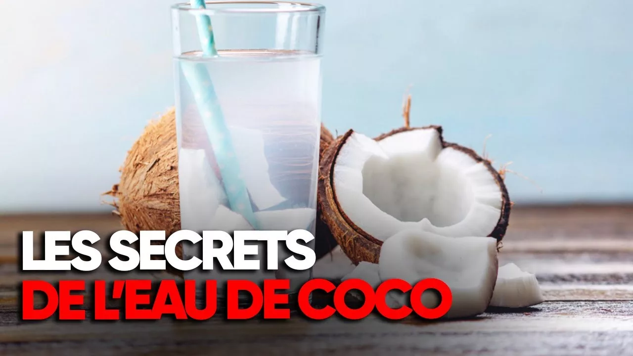 Documentaire Les secrets de la nouvelle star des boissons : l’eau de coco