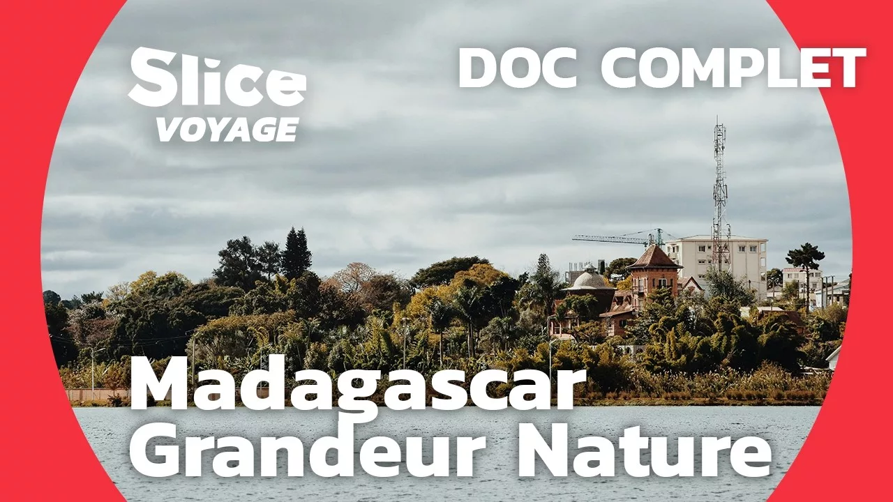 Madagascar : la nature à l'état pur