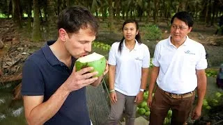 Documentaire Noix de coco le fruit du paradis ? Enquête sur le fruit des Tropiques !