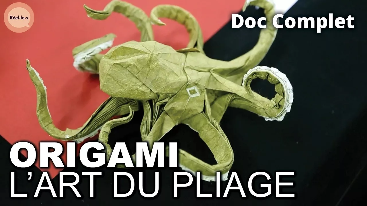 Documentaire Origami, l’art du pliage au service de la recherche