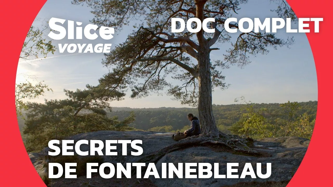 Quels sont les endroits les plus secrets de la forêt de Fontainebleau ?
