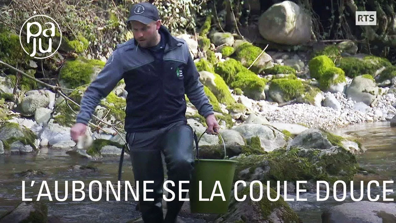 Documentaire Voyage au fil de l’eau, à la découverte des amoureux de cette rivière et de ceux qui la préservent