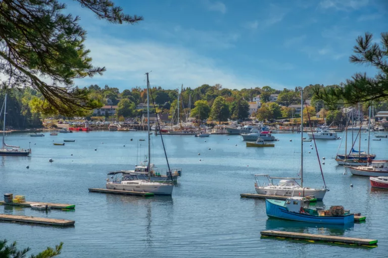 Article | Moteurs électriques pour bateau : une révolution verte