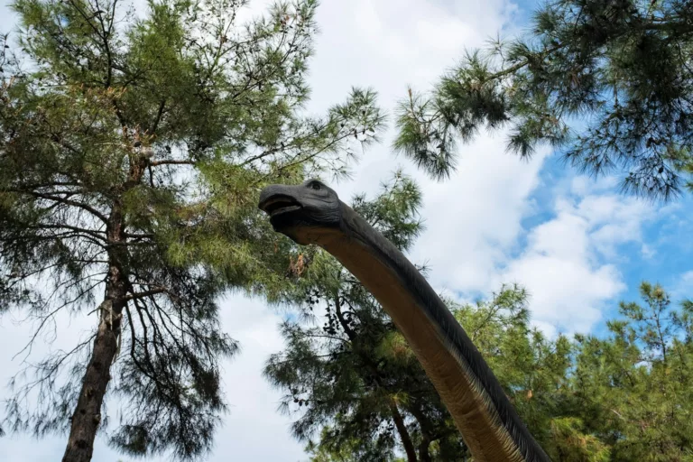 Article | Le diplodocus : géant du Jurassique et icône culturelle