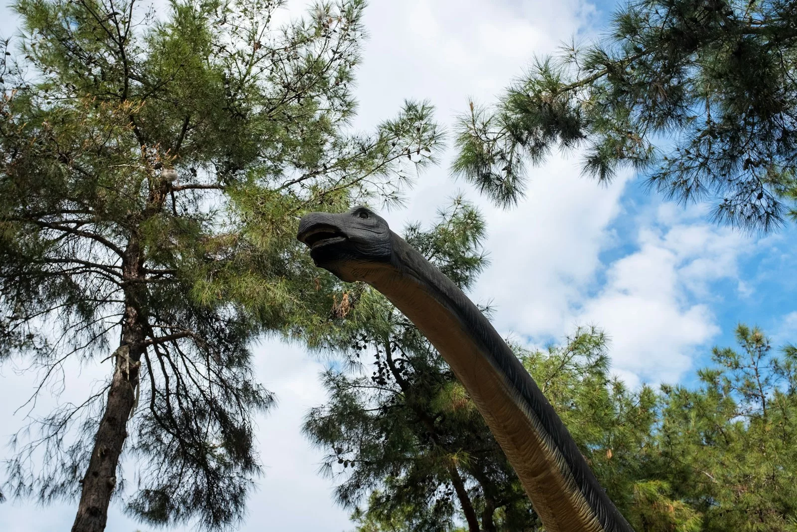 Le diplodocus : géant du Jurassique et icône culturelle