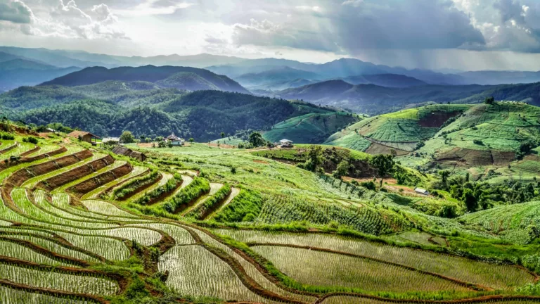 Article | Voyage en Thaïlande en famille : que voir et que faire ?