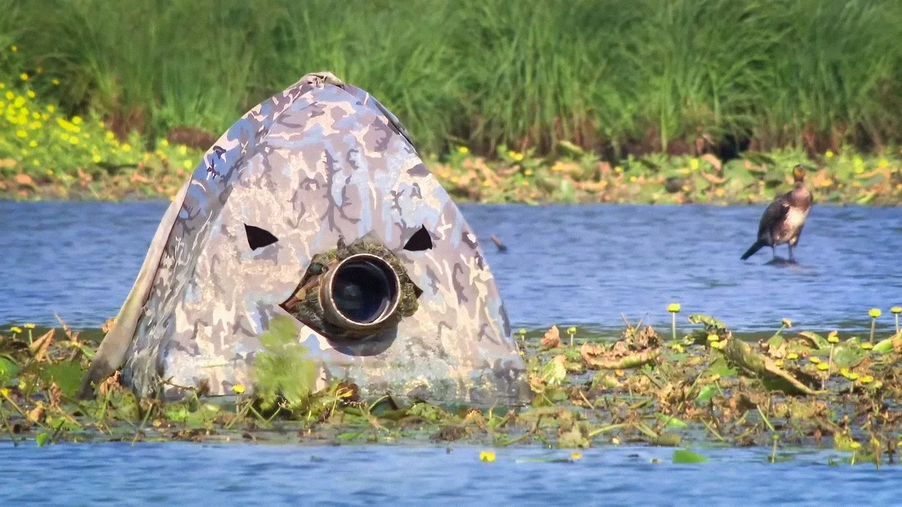 Documentaire Art et nature : les artistes face à la nature sauvage