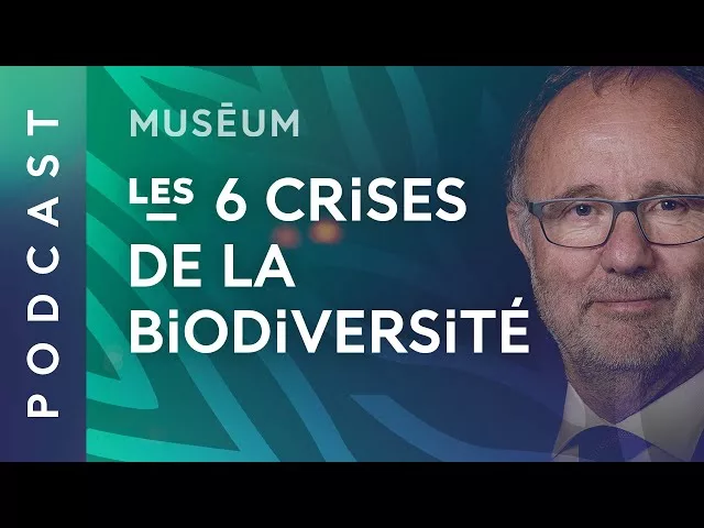 Biodiversité, le saut dans l'inconnu