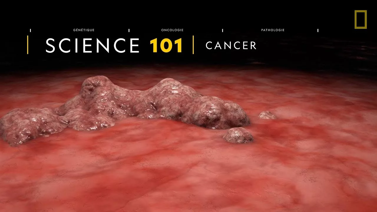 Comprendre : le cancer