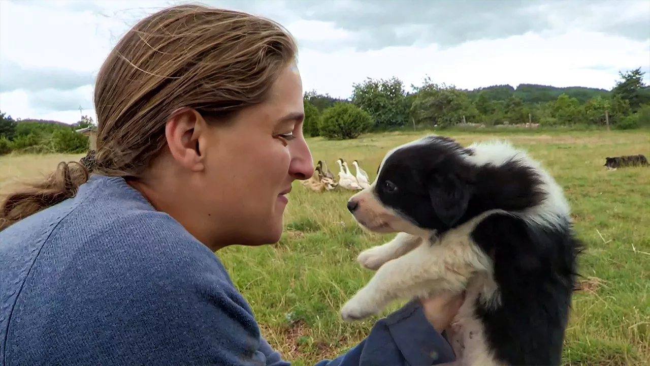 Documentaire Chiot, poulain, lémurien : les premiers pas des bébés animaux