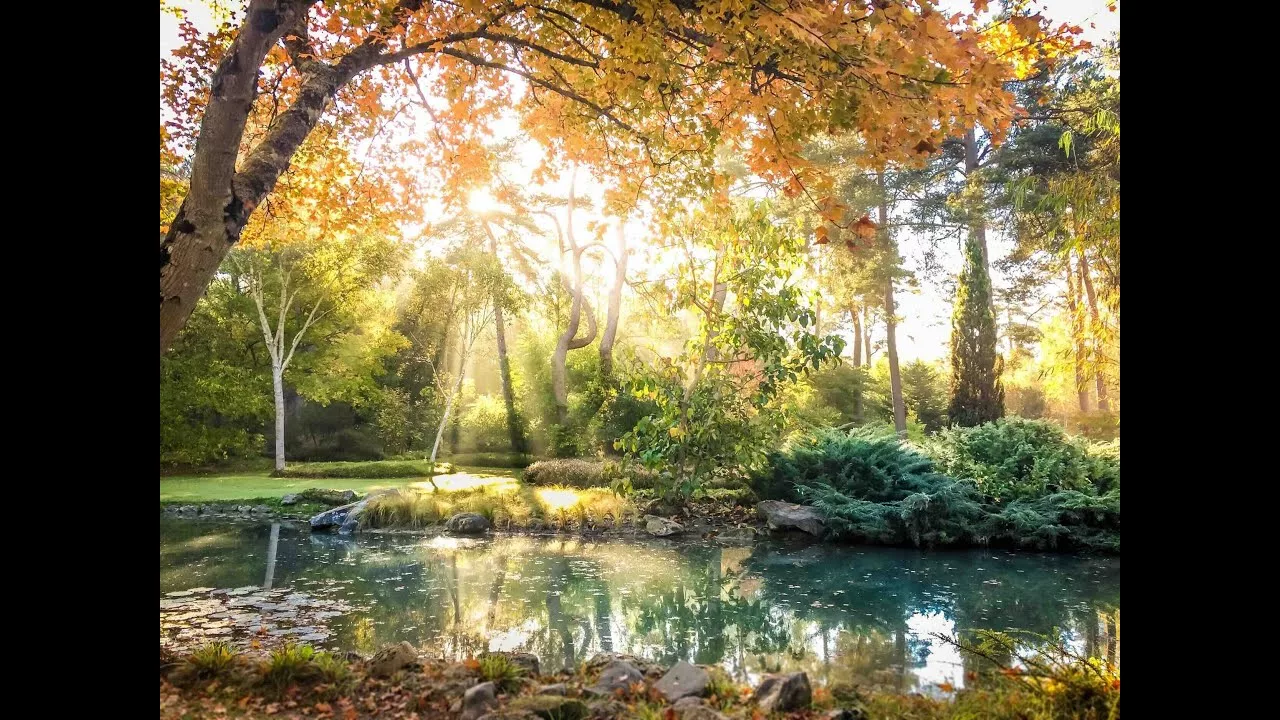 Loiret -  Du jardin au canal