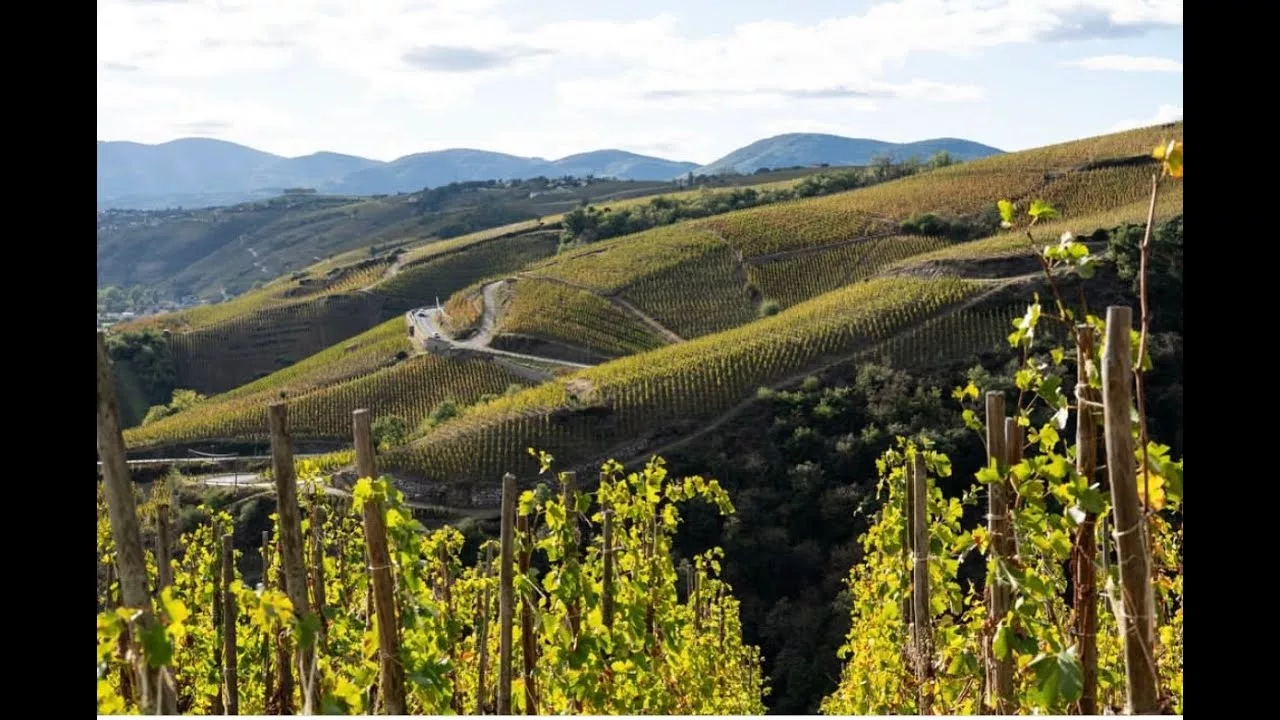 Tupin-et-Semons - Balades sur la rive droite du Rhône