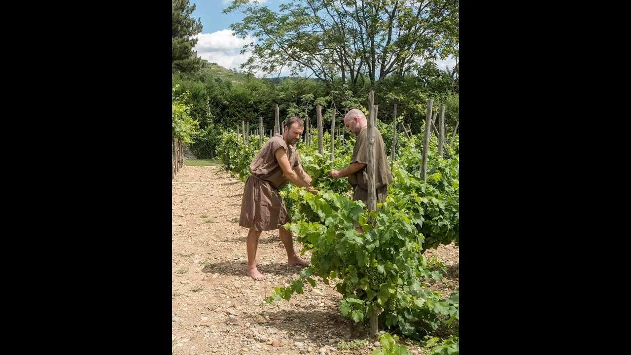 Rhône - Vienne-Condrieu au temps des Romains