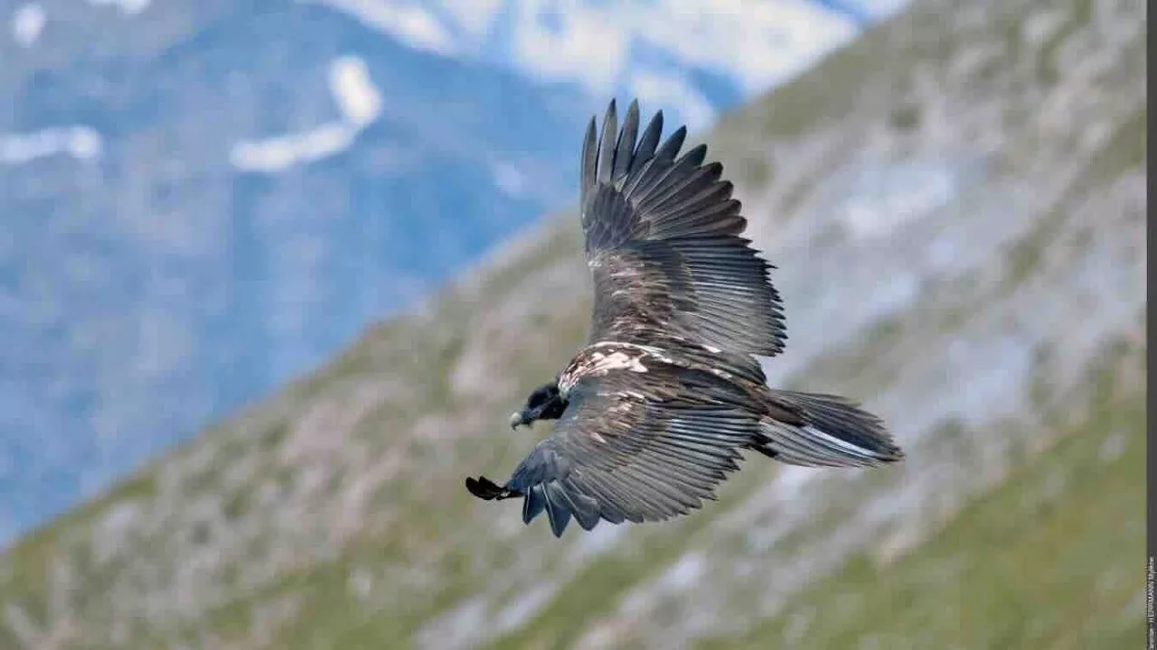 Savoie - Le Parc National de la Vanoise