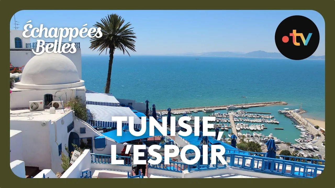 Tunisie, les jasmins de l'espoir