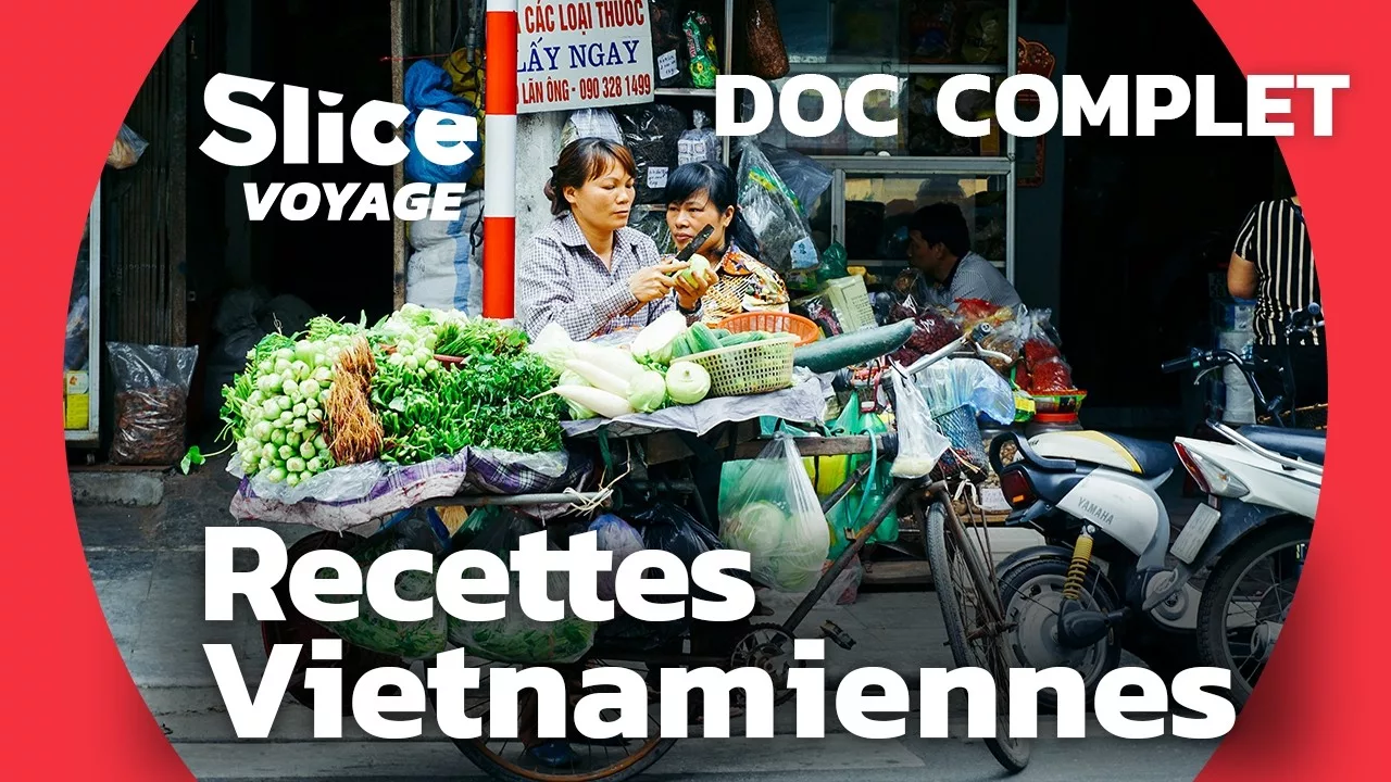 Vietnam : recettes typiques de soupe et de rouleaux vietnamiens