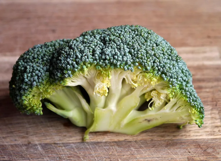 Article | Cuisiner le brocoli pour maximiser ses nutriments