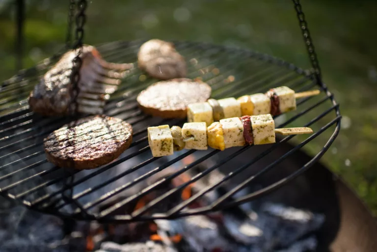 Article | Par quoi remplacer le tofu ?