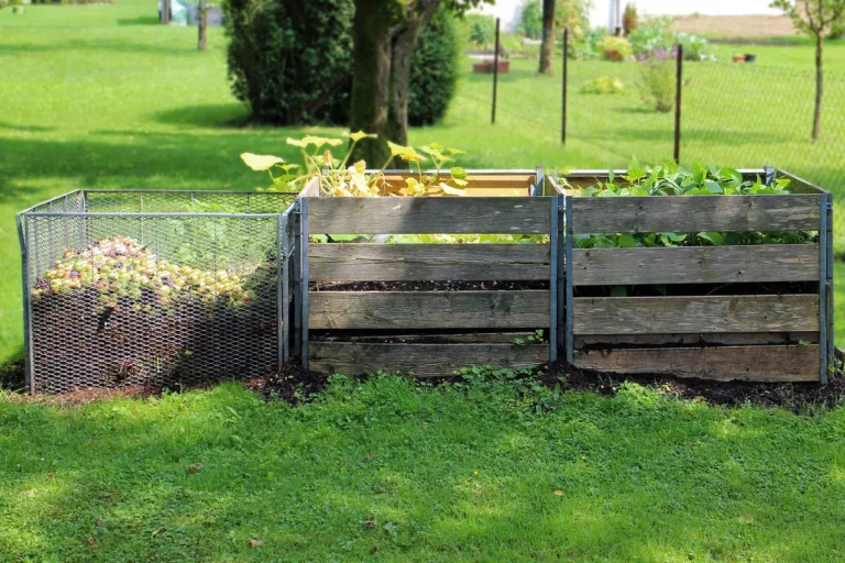 Article | Peut-on planter directement dans du compost ?