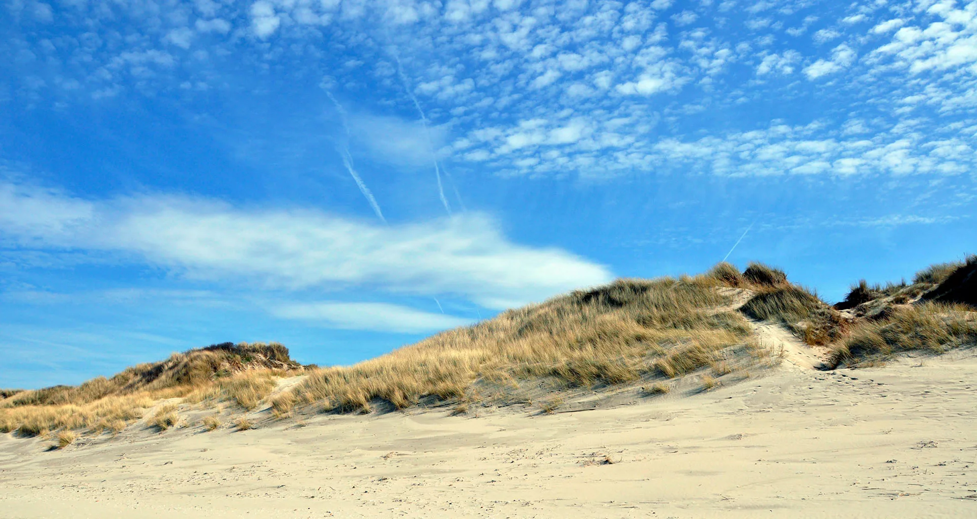 Que faire à Bray-Dunes ?