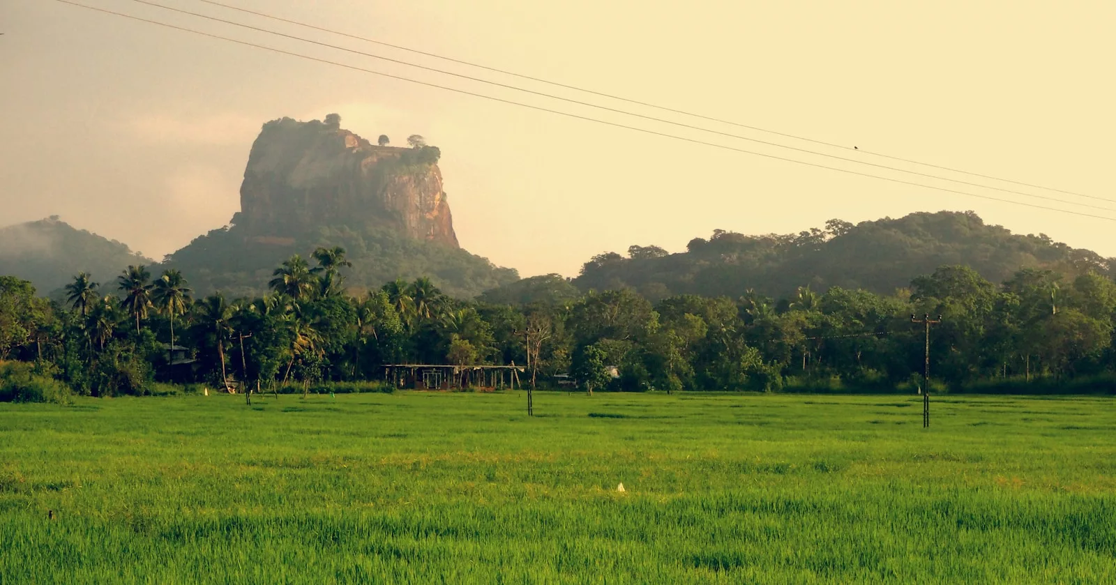 Documentaire Que voir au Sri Lanka en 15 jours ?