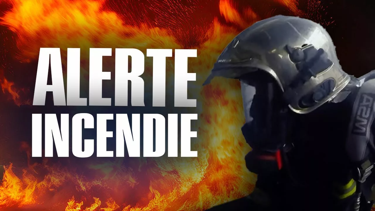 Alerte incendies spectaculaires : Pompiers, leur vie en direct