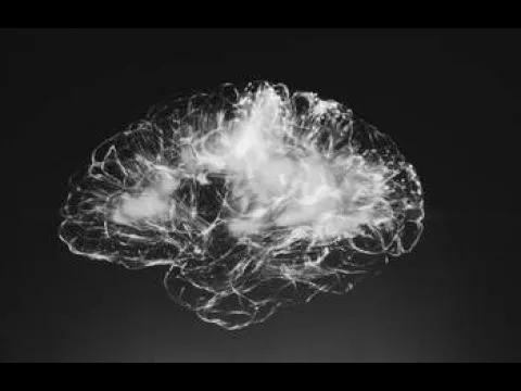 Documentaire Neurosciences : les méandres du cerveau